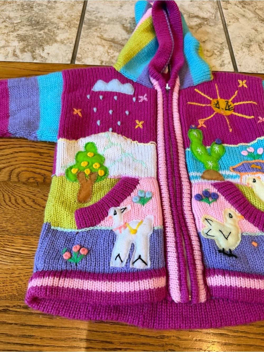 Colorful Folk Art Kids Sweater Appliqué Sun Clouds Chickens Zip Front Girls 6